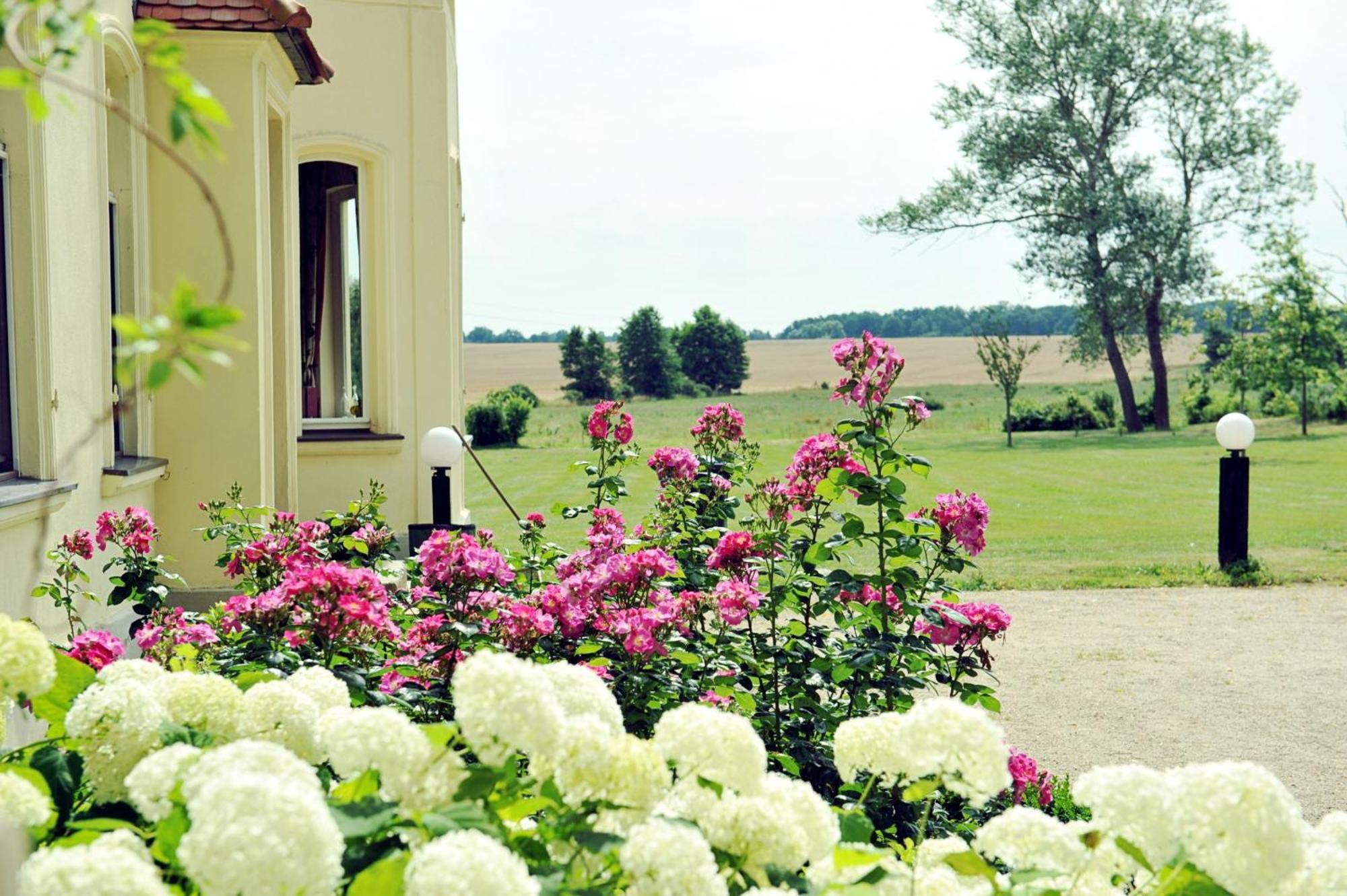 Villa Gutshaus Penzlin Meyenburg  Esterno foto